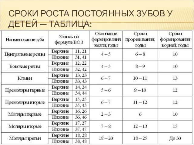 СРОКИ РОСТА ПОСТОЯННЫХ ЗУБОВ У ДЕТЕЙ — ТАБЛИЦА: