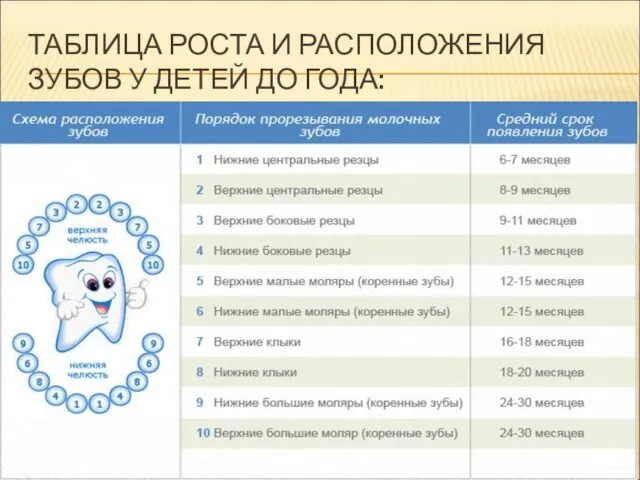 ТАБЛИЦА РОСТА И РАСПОЛОЖЕНИЯ ЗУБОВ У ДЕТЕЙ ДО ГОДА: