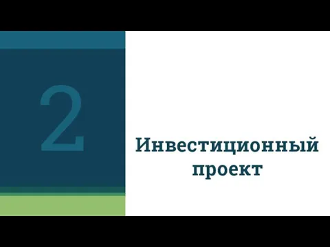 Инвестиционный проект 2