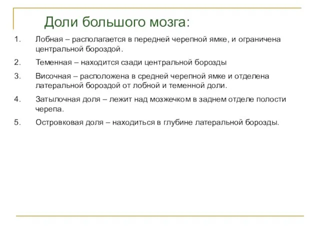 Доли большого мозга: Лобная – располагается в передней черепной ямке, и