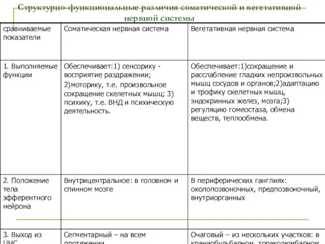 Структурно-функциональные различия соматической и вегетативной нервной системы