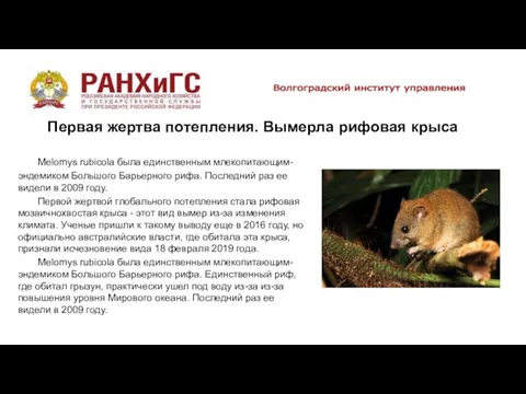 Melomys rubicola была единственным млекопитающим-эндемиком Большого Барьерного рифа. Последний раз ее