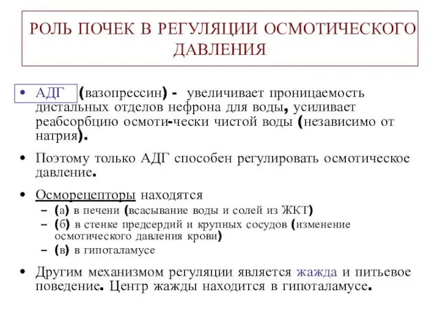 АДГ (вазопрессин) - увеличивает проницаемость дистальных отделов нефрона для воды, усиливает