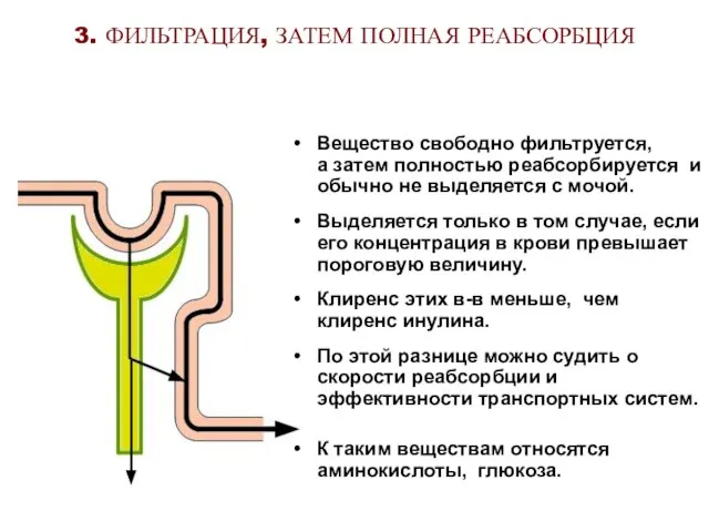 3. ФИЛЬТРАЦИЯ, ЗАТЕМ ПОЛНАЯ РЕАБСОРБЦИЯ Вещество свободно фильтруется, а затем полностью