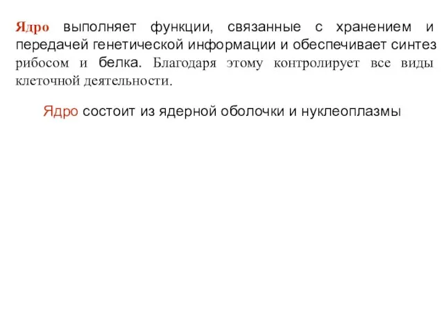 Ядро выполняет функции, связанные с хранением и передачей генетической информации и