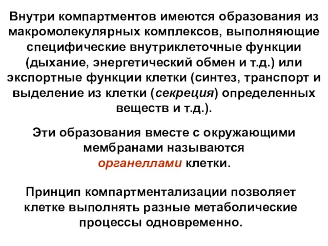 Принцип компартментализации позволяет клетке выполнять разные метаболические процессы одновременно. Эти образования