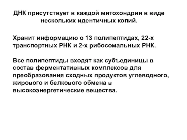 Хранит информацию о 13 полипептидах, 22-х транспортных РНК и 2-х рибосомальных