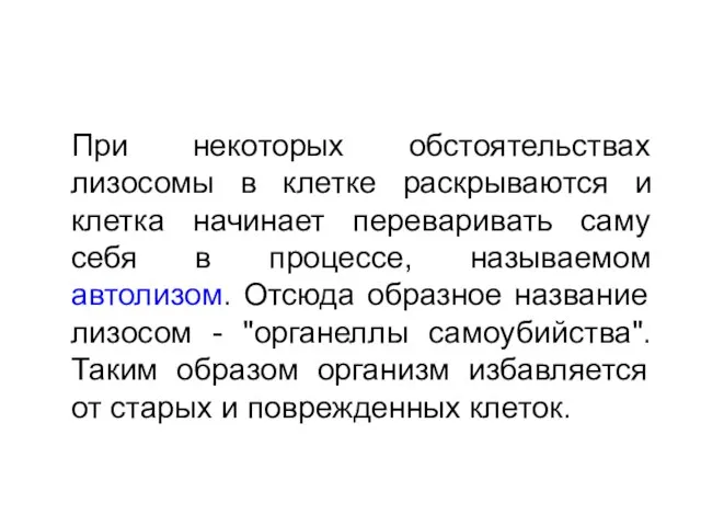 При некоторых обстоятельствах лизосомы в клетке раскрываются и клетка начинает переваривать