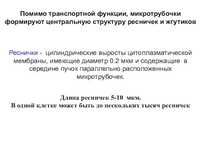 Помимо транспортной функции, микротрубочки формируют центральную структуру ресничек и жгутиков Реснички