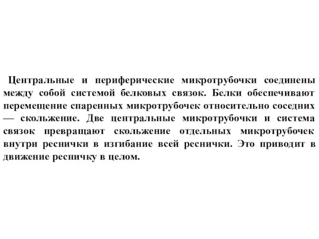 Центральные и периферические микротрубочки соединены между собой системой белковых связок. Белки