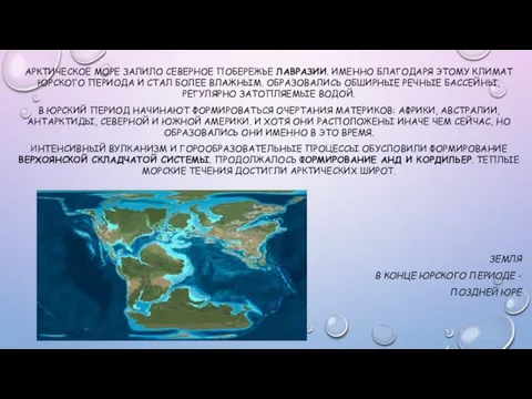 АРКТИЧЕСКОЕ МОРЕ ЗАЛИЛО СЕВЕРНОЕ ПОБЕРЕЖЬЕ ЛАВРАЗИИ. ИМЕННО БЛАГОДАРЯ ЭТОМУ КЛИМАТ ЮРСКОГО