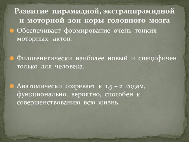 Обеспечивает формирование очень тонких моторных актов. Филогенетически наиболее новый и специфичен