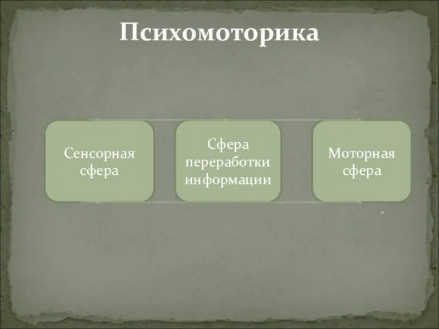 Психомоторика Сенсорная сфера Сфера переработки информации Моторная сфера