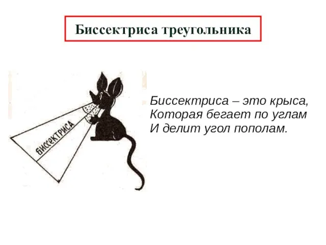 Биссектриса треугольника Биссектриса – это крыса, Которая бегает по углам И делит угол пополам.