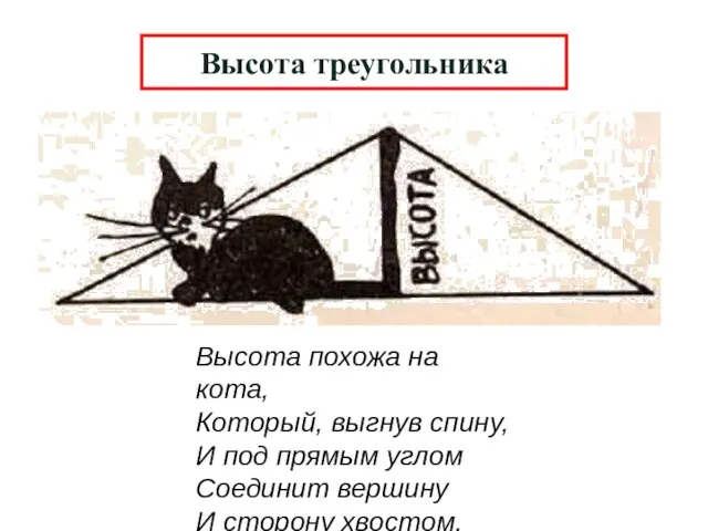 Высота треугольника Высота похожа на кота, Который, выгнув спину, И под