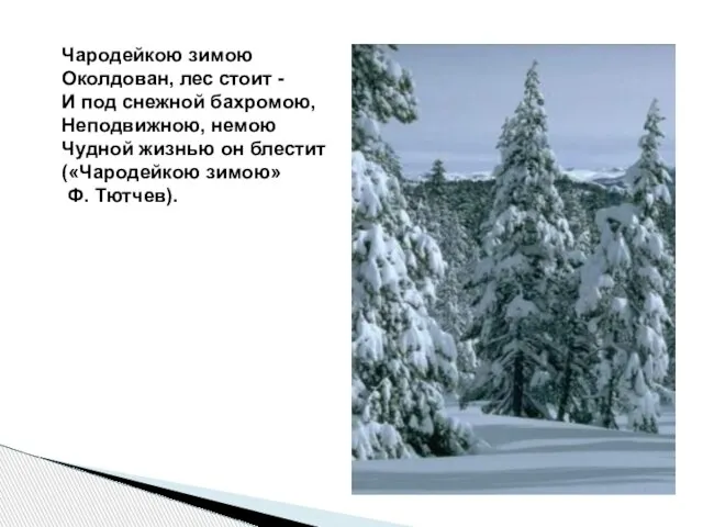 Чародейкою зимою Околдован, лес стоит - И под снежной бахромою, Неподвижною,