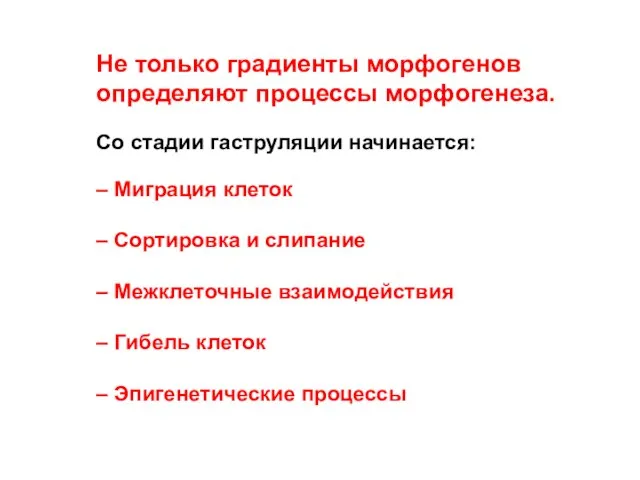 Не только градиенты морфогенов определяют процессы морфогенеза. Со стадии гаструляции начинается: