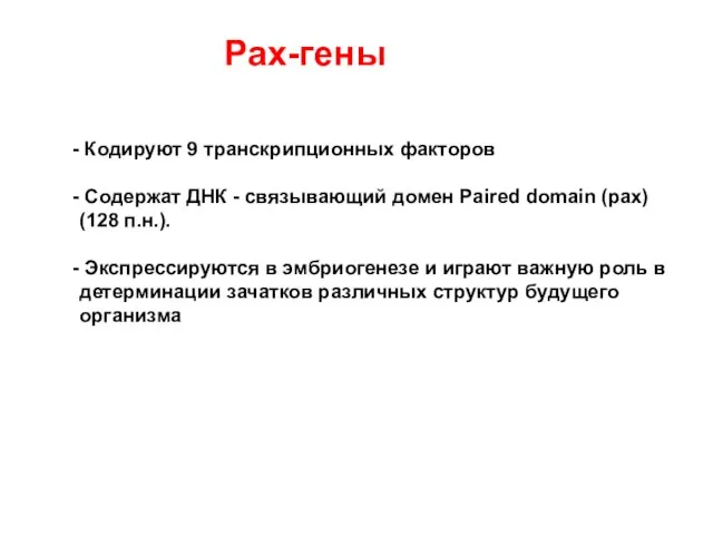 Кодируют 9 транскрипционных факторов Содержат ДНК - связывающий домен Paired domain