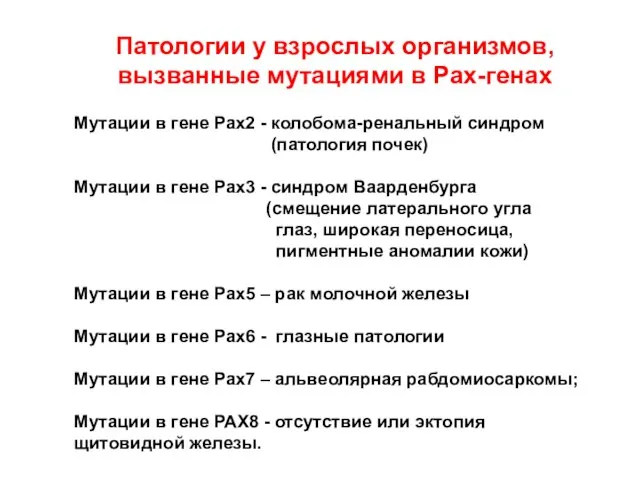 Мутации в гене Pax2 - колобома-ренальный синдром (патология почек) Мутации в