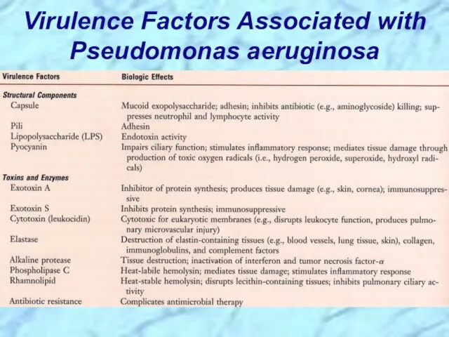 Virulence Factors Associated with Pseudomonas aeruginosa