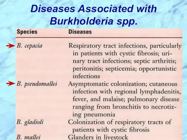 Diseases Associated with Burkholderia spp.