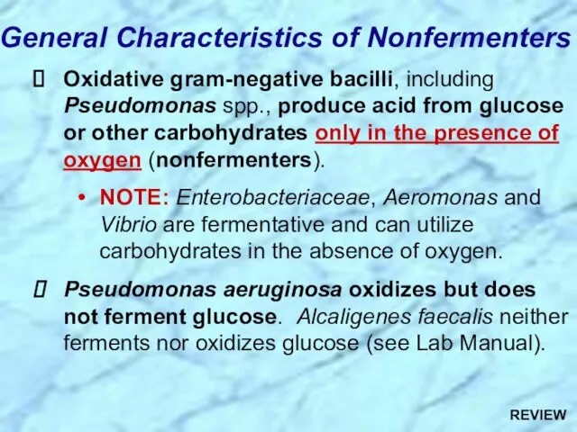 General Characteristics of Nonfermenters Oxidative gram-negative bacilli, including Pseudomonas spp., produce