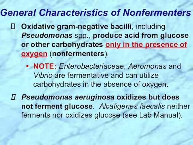 General Characteristics of Nonfermenters Oxidative gram-negative bacilli, including Pseudomonas spp., produce