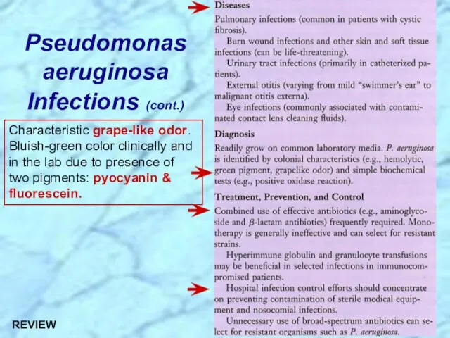 Pseudomonas aeruginosa Infections (cont.) Characteristic grape-like odor. Bluish-green color clinically and