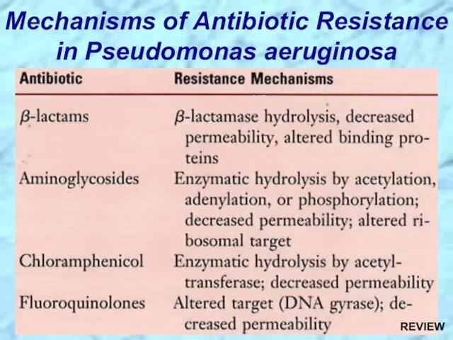 Mechanisms of Antibiotic Resistance in Pseudomonas aeruginosa REVIEW