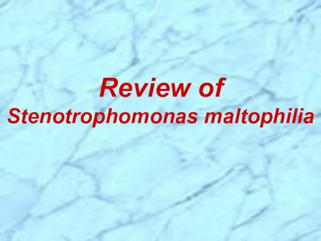 Review of Stenotrophomonas maltophilia