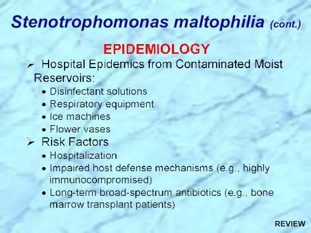 Stenotrophomonas maltophilia (cont.) REVIEW
