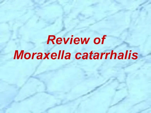 Review of Moraxella catarrhalis