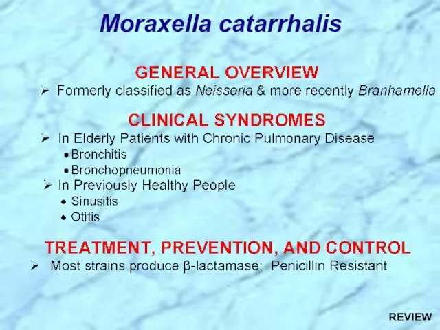 Moraxella catarrhalis REVIEW