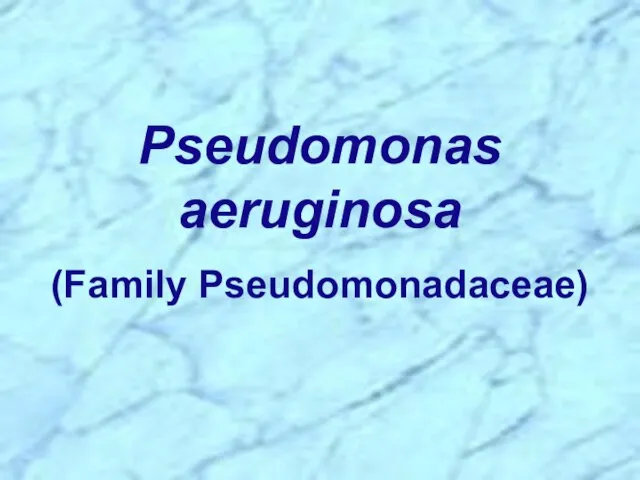 Pseudomonas aeruginosa (Family Pseudomonadaceae)