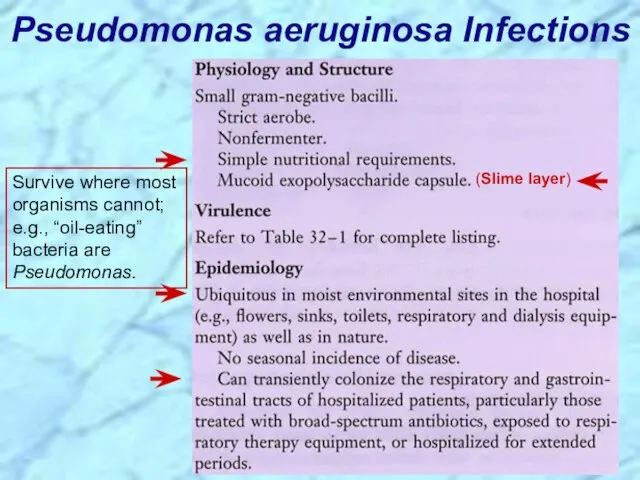 Pseudomonas aeruginosa Infections