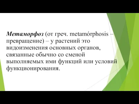 Метаморфоз (от греч. metamórphosis – превращение) – у растений это видоизменения