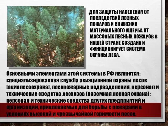 ДЛЯ ЗАЩИТЫ НАСЕЛЕНИЯ ОТ ПОСЛЕДСТВИЙ ЛЕСНЫХ ПОЖАРОВ И СНИЖЕНИЯ МАТЕРИАЛЬНОГО УЩЕРБА