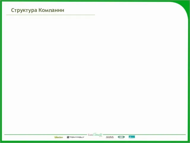 Структура Компании