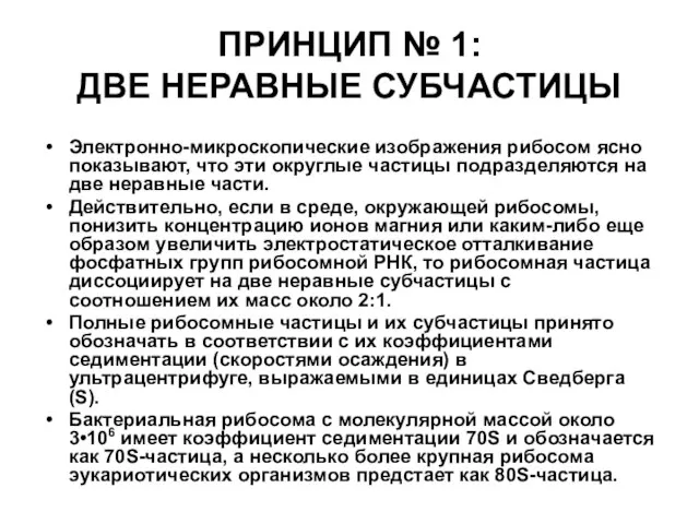 ПРИНЦИП № 1: ДВЕ НЕРАВНЫЕ СУБЧАСТИЦЫ Электронно-микроскопические изображения рибосом ясно показывают,