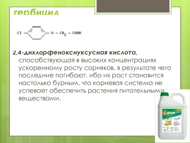 гербицид 2,4-дихлорфеноксиуксусная кислота, способствующая в высоких концентрациях ускоренному росту сорняков, в