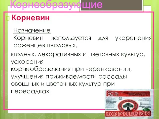 Корнеобразующие Корневин Назначение Корневин используется для укоренения саженцев плодовых, ягодных, декоративных