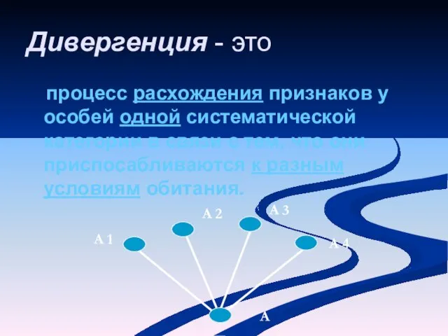 Дивергенция - это процесс расхождения признаков у особей одной систематической категории