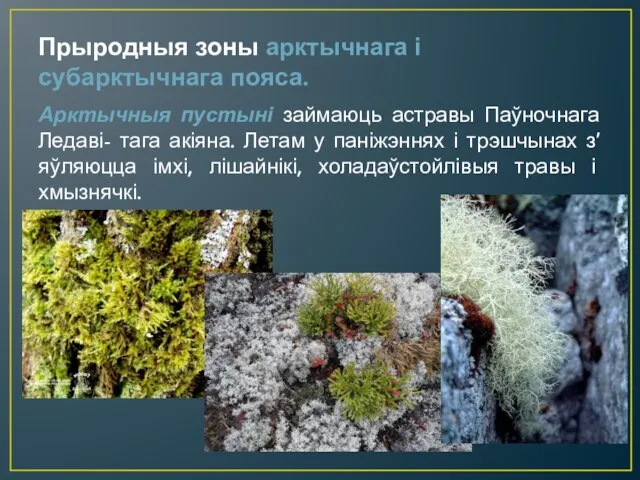 Прыродныя зоны арктычнага і субарктычнага пояса. Арктычныя пустыні займаюць астравы Паўночнага