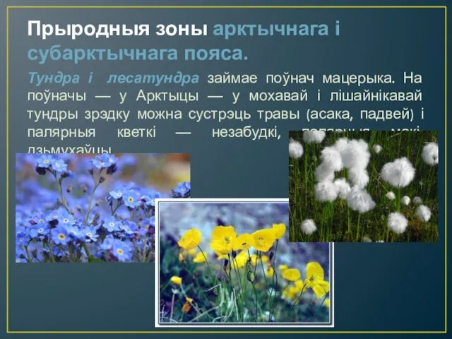 Прыродныя зоны арктычнага і субарктычнага пояса. Тундра і лесатундра займае поўнач