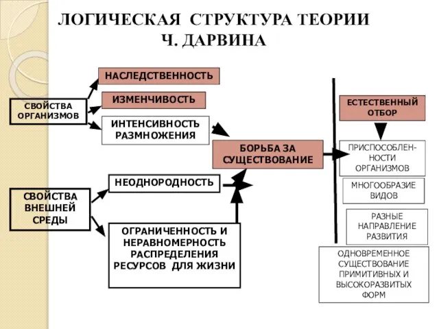 ЛОГИЧЕСКАЯ СТРУКТУРА ТЕОРИИ Ч. ДАРВИНА СВОЙСТВА ОРГАНИЗМОВ НАСЛЕДСТВЕННОСТЬ ИЗМЕНЧИВОСТЬ ИНТЕНСИВНОСТЬ РАЗМНОЖЕНИЯ