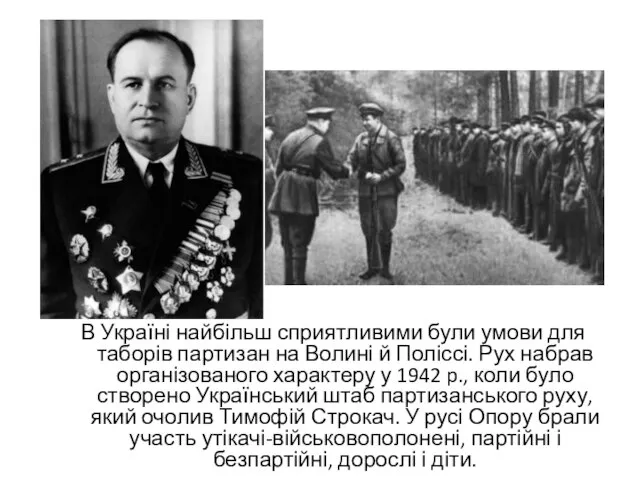 В Україні найбільш сприятливими були умови для таборів партизан на Волині