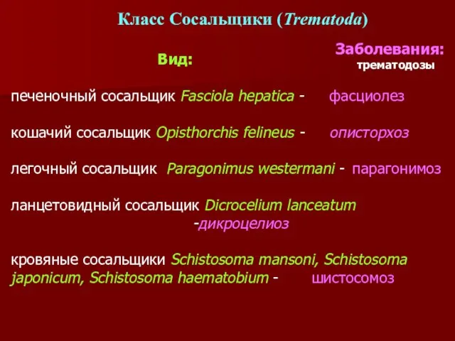 Класс Сосальщики (Trematoda) Вид: печеночный сосальщик Fasciola hepatica - фасциолез кошачий