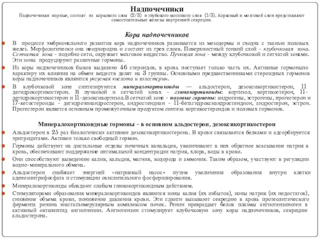 Надпочечники Надпочечники парные, состоят из коркового слоя (2/3) и глубокого мозгового