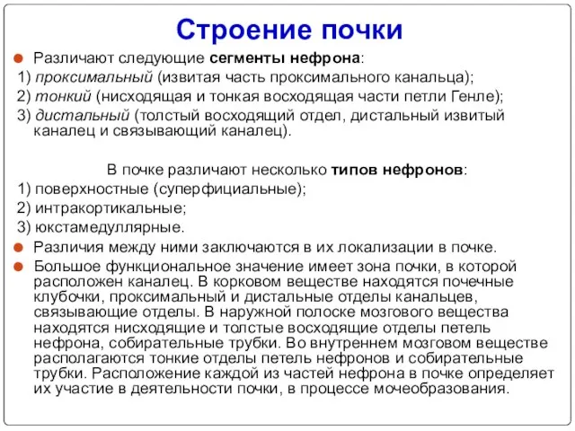 Строение почки Различают следующие сегменты нефрона: 1) проксимальный (извитая часть проксимального