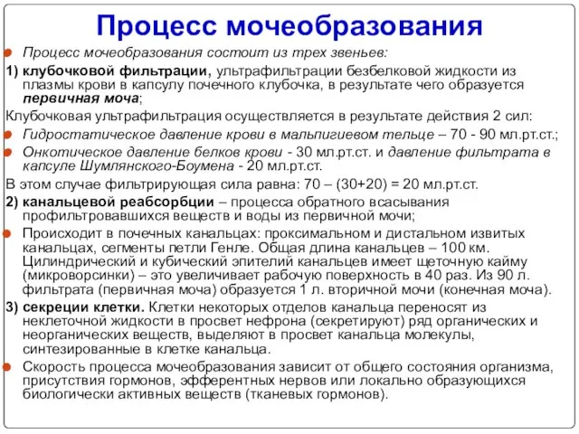 Процесс мочеобразования Процесс мочеобразования состоит из трех звеньев: 1) клубочковой фильтрации,